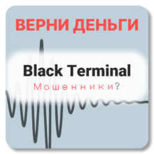 Black Terminal, отзывы по компании