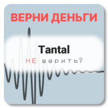 Tantal, отзывы по компании