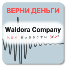 Waldora Company, отзывы по компании