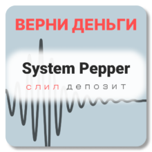 System Pepper, отзывы по компании