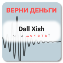 Dall Xish, отзывы по компании