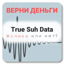 True Suh Data, отзывы по компании