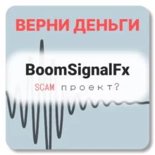BoomSignalFx, отзывы по компании