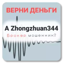 A Zhongzhuan344, отзывы по компании