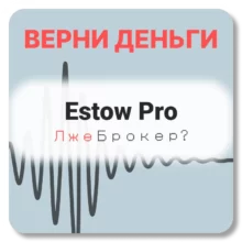Estow Pro, отзывы по компании