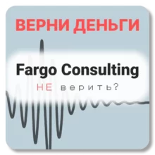 Fargo Consulting, отзывы по компании