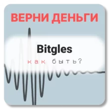 Bitgles, отзывы по компании
