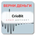 CrioBit, отзывы по компании